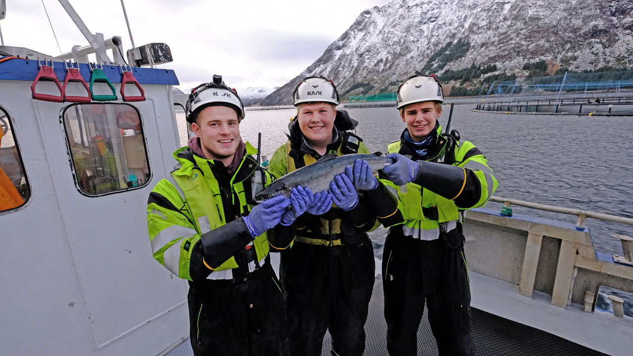 Tre gutar som held ein fisk på ein fiskebåt.
